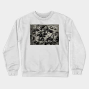 The Collection Crewneck Sweatshirt